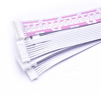 Dây cáp dây dẫn đầu nối JST PH 2.0mm tùy chỉnh 2 3 4 5 6 7 8 9 chân cho ứng dụng điện tử