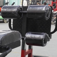 Sunshine SW8008 Équipement de fitness commercial multifonctionnel pour salle de sport, Banc de levée de fessiers et de fessiers-hamstrings, Machine de développement des hanches, Chaise romaine