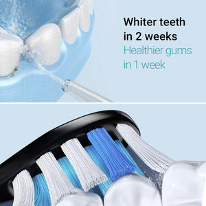 Combo <span class=keywords><strong>Brosse</strong></span> à dents électrique rechargeable et irrigateur à jet d'eau Sonic, utilisation domestique, étanche IPX7, 600 ml - Product Image 5