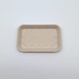 Compostable çevre yeşil biyolojik olarak parçalanabilir Bagasse meyve tepsisi tek kullanımlık gıda kağıt tepsisi - Product Image 5