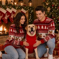 Pull jacquard assorti pour la famille, motif sapin de Noël Fair Isle