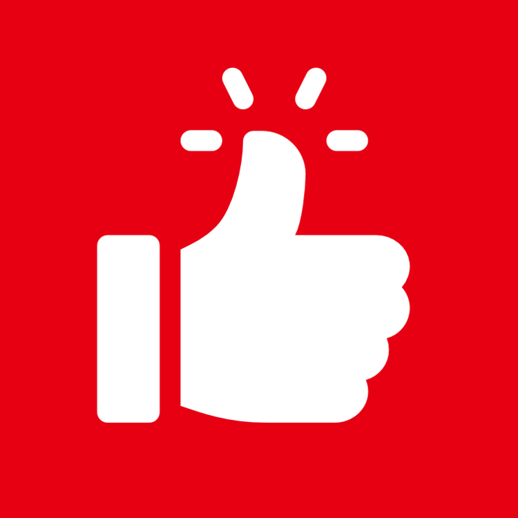 Confiable: 29 años de fábrica, envío rápido y seguro, DDP disponible