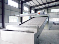 Séchoir à bande industriel Shouchuang en acier inoxydable avec moteur et boîte de vitesses pour le séchage et le traitement des aliments (prunes, carambola, lucuma, farine)