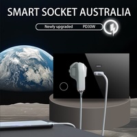 Prise PD30W standard australienne USB 120 AU/US Type de prise Tuya 16A WiFi Thaïlande Vietnam Standard Zigbee Android Bar Design Smart