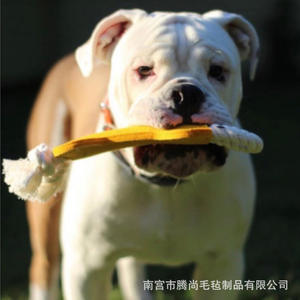 Bastoncini di ossa per denti di cane sostenibili giocattoli per animali domestici che alleviano lo Stress mordente nodo giocattolo da allenamento resistente all'usura in corda di cotone - Product Image 5