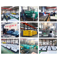 Generador Diésel Silencioso a Precio de Fábrica, 10kW-100kW, Insonorizado, Resistente a la Intemperie, Refrigerado por Agua, para Hoteles, Turismo y Resorts