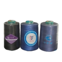 Fil à coudre en polyester 100 % durable, couleurs arc-en-ciel, 40s/2 5000Y 8000Y, fabriqué en Chine