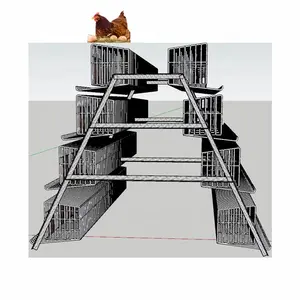 Nice Appearance High Quality A Type Egg Layer Chicken Cages With Farm Produce Fair