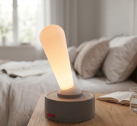 Lampe de nuit LED en forme de larme, lampe de chevet portable rechargeable pour chambre à coucher, couloir, décoration de la maison