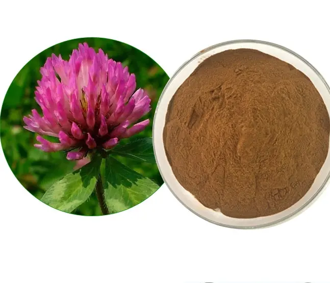 Hot sell Natural Pure High Quality 10:1 98% Formononetin Stocking Red Clover Extract Powder