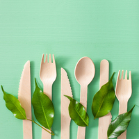 Couverts en bois jetables fournisseur couteau personnalisé pas cher prix de gros écologique réutilisable biodégradable cuillère fourchette
