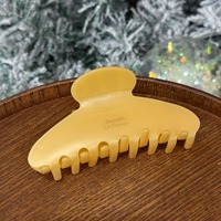 Nouvelles pinces à cheveux coréennes personnalisées en acétate, couleur unie simple, grande taille, polyvalentes, vente en gros pour femmes