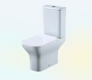 High Quality Sanitary Ware Bathroom Designs Luxury Upflush 2 Piece Bowl Set Wc Piss Commode P Trap Ceramic Toilet