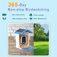Caméra visuelle intelligente WiFi pour mangeoire à oiseaux avec panneaux solaires Produit de composants électroniques