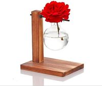 Vase à bulbes pour plantes, terrarium de bureau, support en bois massif rétro écologique pour la propagation hydroponique à domicile et au jardin