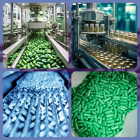 Comprimés amincissants naturels à base de plantes Brûleur de graisse Pilules minces pour amincir les capsules Hanches Suppléments pour brûleur de graisse