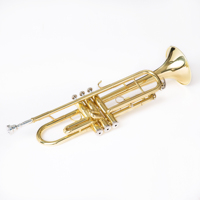 Trumpet Standard Set Bb Trumpet Yellow Brass with Hard Case for Beginner or Advanced Student