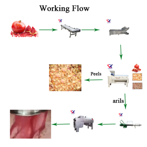 <span class=keywords><strong>Granada</strong></span> máquina de <span class=keywords><strong>pelar</strong></span> uso Industrial de jugo de <span class=keywords><strong>Granada</strong></span> máquina de extracción - Product Image 3