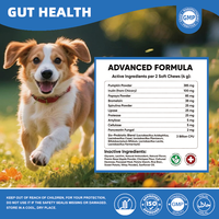 Booster de santé intestinale OEM pré-probiotiques et enzymes digestives pour chien à mastication douce 3 milliards d'UFC inuline poudre de citrouille