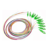 Équipement de queue de cochon à fibre optique Hanxin avec 12 cœurs Upc Sc Apc pour utilisation FTTH