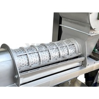Extracteur de jus facile à nettoyer pour usage domestique, mixeur de fruits et légumes, taille compacte