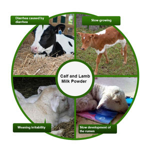 Booster de <span class=keywords><strong>poudre</strong></span> de remplacement de <span class=keywords><strong>lait</strong></span> OEM pour bovins, chèvres, vaches, tirelire, <span class=keywords><strong>agneau</strong></span>, additif alimentaire pour augmenter la croissance des animaux - Product Image 5