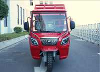 Tricycle à essence semi-luxueux 250CC quatre temps refroidi par eau, avec cabine 2.0*1.4 et benne de transport hydraulique à double pompe