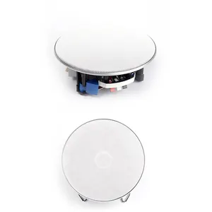 5 Inch 10w High Performance Sound Equipment/Amplifiers/Speaker ABS Plastic Home Audio Coaxial Ceiling Speaker