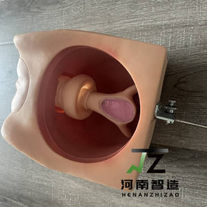 Modèle de formation avancé pour la pratique de la contraception féminine, mannequin d'entraînement au DIU grandeur nature en PVC, certifié CE ISO pour usage médical - Product Image 4