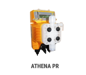 Para exportación Athena PR - Product Image 2