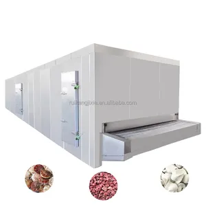 200KG tunnel type quick freezer blast chilling chicken products quick freezing equipment