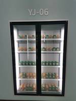 Porte en verre commerciale congélateur refroidisseur de boissons supermarché Pepsi refroidisseur d'air affichage réfrigérateur électrique ménage réfrigérateur Cola