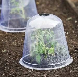 Transparent Plastic Reusable Square Agriculture Planting <strong>Seeding</strong> <strong>Cover</strong> Nursery Protective <strong>Cover</strong> Round - Product Image 6