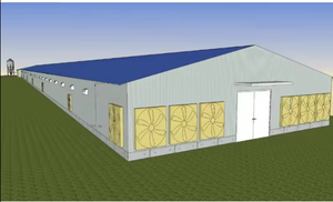 Toit résistant aux UV de poulailler de structure en acier anti-corrosif, capacité Design5000-10000 d'oiseaux de preuve de <span class=keywords><strong>tempête</strong></span> - Product Image 5