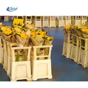 Elite Plastic dutch flower bucket for auction market garden center