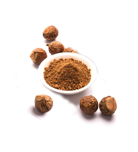 Reetha – Fabricant, Fournisseur et Exportateur de Poudre d'Extrait Séché par Pulvérisation – Extrait Botanique Premium en Vrac – Vente en Gros de Plantes Naturelles - Product Image 2