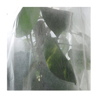 Tissu non tissé en polypropylène spunbond pour la protection des plantes contre le gel, protection contre le gel d'hiver en extérieur