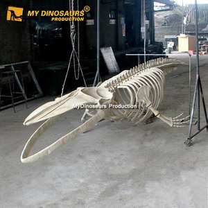 MyDino Colgando Animal Marino 8M <span class=keywords><strong>Esqueleto</strong></span> <span class=keywords><strong>Ballena</strong></span> Azul - Product Image 3