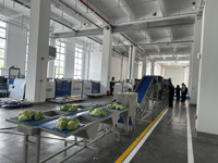 Aanpasbare capaciteit fruit- en groente-inspectie-, sorteer-, week-, was- en drooglijn voor productie