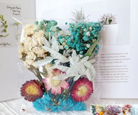 Materiales de bricolaje flores secas mixtas personalizar bolsa de Opp decoración de Pascua fiesta de boda decoración de la tienda del hogar