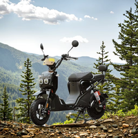 Modèles explosifs nouveau vélo électrique haute Performance moteur de moyeu arrière cadre en acier vélo électronique intelligent numérique