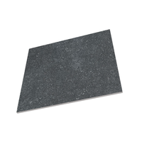 Carrelage en porcelaine rustique noir mat antidérapant 60x60cm, design moderne pour les murs et les sols des parcs