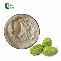 Food Grade Hoge Zuiverheid Grote Voorraad Noni Fruit Poeder Noni Vruchtensap Poeder Volledig In Water Oplosbaar
