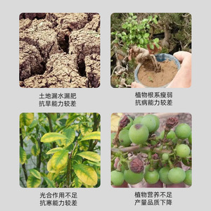 Soil Activator Mineral Derived Potassium Humate 200g Loosens Soil Promotes Root Growth Plant Fertilizer - Product Image 2