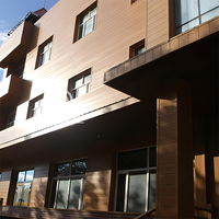 Venta Directa de Fábrica, Revestimiento de Paredes 4x8, 3mm 4mm 6mm, Panel Compuesto de Aluminio ACP ACM con Acabado de Madera, Ignífugo