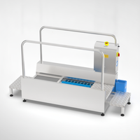 Machine de nettoyage de semelles de chaussures en acier inoxydable avec système de brosse automatique pour l'hygiène des salles blanches et de l'industrie alimentaire