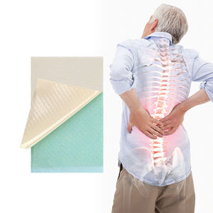 Échantillon gratuit Fourniture de soins de santé Capsicum Pain Patch Plâtre pour le soulagement du dos - Product Image 2