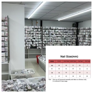 <span class=keywords><strong>Hermosas</strong></span> <span class=keywords><strong>uñas</strong></span> surtidas hechas a mano Estudio a granel-Producido más de 3000 diseños Patrón de puntas largas Prensa hecha a mano aleatoria en las <span class=keywords><strong>uñas</strong></span> - Product Image 6