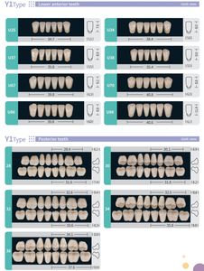 All'ingrosso Multi tonalità due strati anteriori inferiori denti in resina acrilica sintetica - Product Image 5