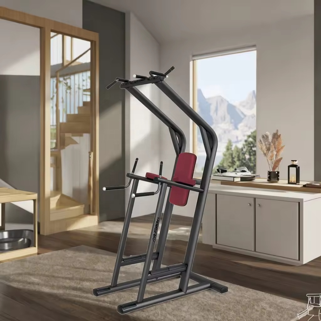 Plate Loaded Dip and Leg Raise Exercise Equipment Safety Features Bodybuilding and Strength Training Fitness Gear for Gym Use